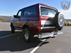 Thumbnail Photo 6 for 1996 Ford Bronco